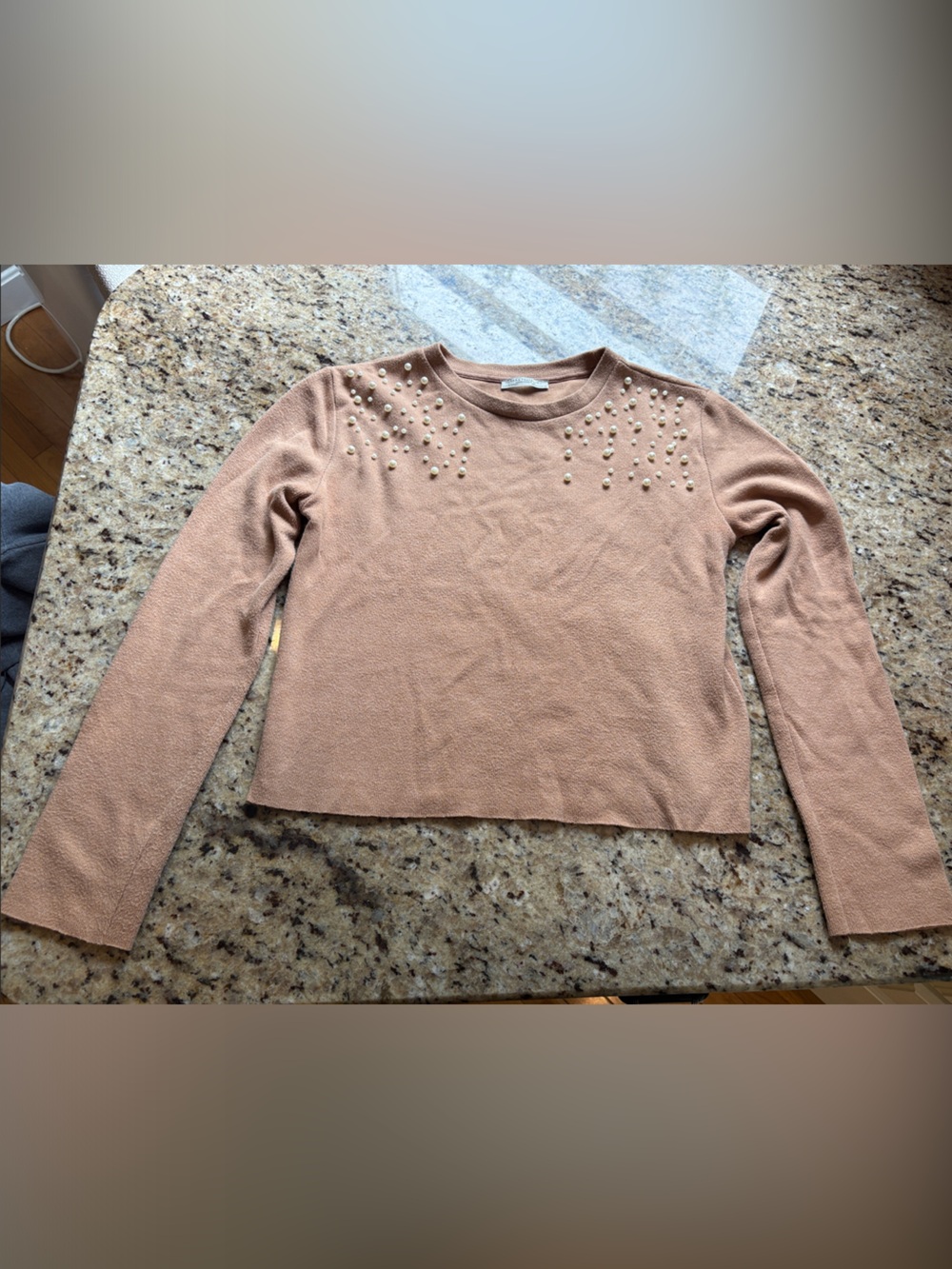 Zara Beige Embellished Long-Sleeve Knit Top